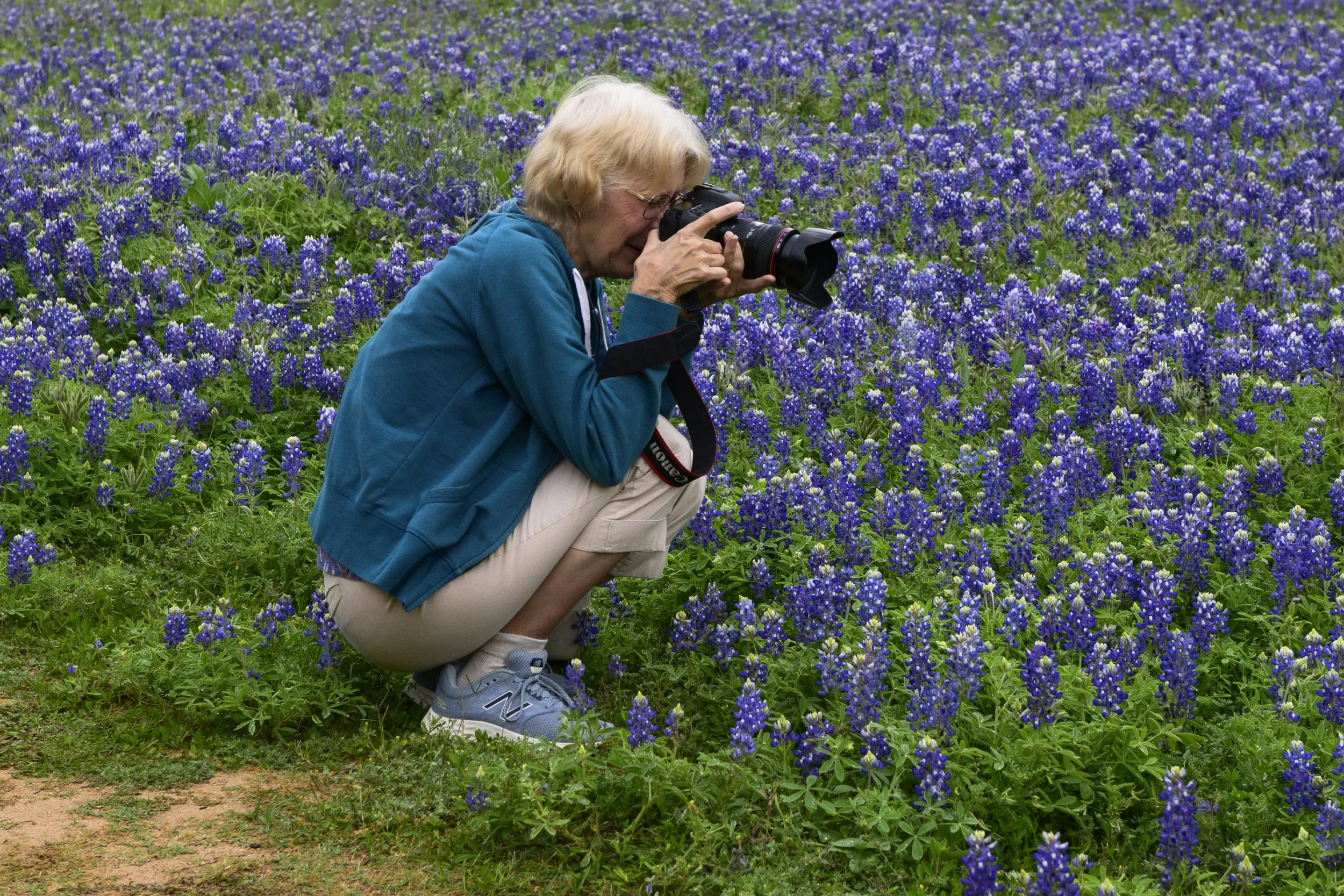 2026 Texas Wildflower Private Tour — Experience Wildlife